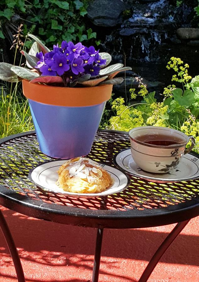 Five Seasuns Bed And Breakfast Port Angeles Exterior photo